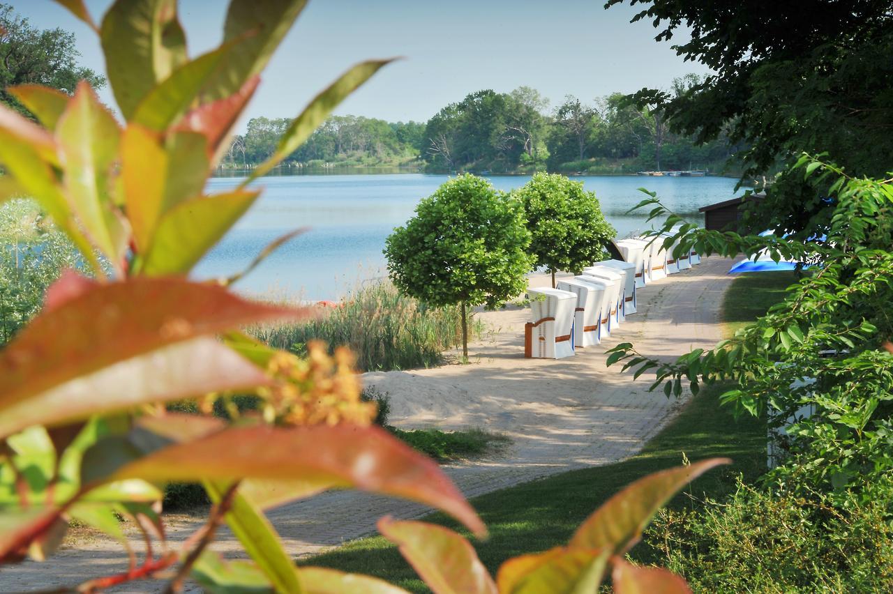 Bernstein Acamed Resort Nienburg  Ngoại thất bức ảnh